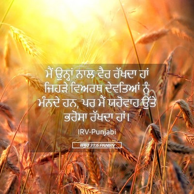 Picture 05 - ਜ਼ਬੂਰ 31:6 PANIRV - ਮੈਂ ਉਨ੍ਹਾਂ ਨਾਲ ਵੈਰ - Bible Verse Picture
