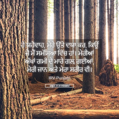 Picture 05 - ਜ਼ਬੂਰ 31:9 PANIRV - ਹੇ ਯਹੋਵਾਹ, ਮੇਰੇ - Bible Verse Picture