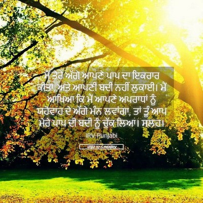 Picture 05 - ਜ਼ਬੂਰ 32:5 PANIRV - ਮੈਂ ਤੇਰੇ ਅੱਗੇ ਆਪਣੇ - Bible Verse Picture