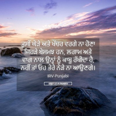 Picture 05 - ਜ਼ਬੂਰ 32:9 PANIRV - ਤੁਸੀਂ ਘੋੜੇ ਅਤੇ - Bible Verse Picture
