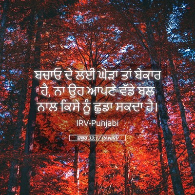 Picture 05 - ਜ਼ਬੂਰ 33:17 PANIRV - ਬਚਾਓ ਦੇ ਲਈ ਘੋੜਾ ਤਾਂ - Bible Verse Picture