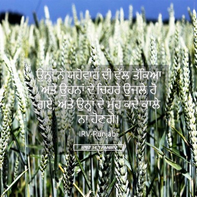 Picture 05 - ਜ਼ਬੂਰ 34:5 PANIRV - ਉਨ੍ਹਾਂ ਨੇ ਯਹੋਵਾਹ - Bible Verse Picture