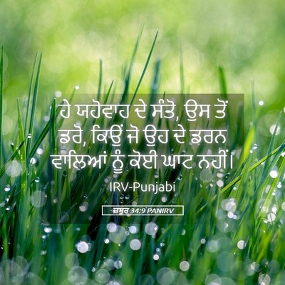 Picture 05 - ਜ਼ਬੂਰ 34:9 PANIRV - ਹੇ ਯਹੋਵਾਹ ਦੇ ਸੰਤੋ, - Bible Verse Picture