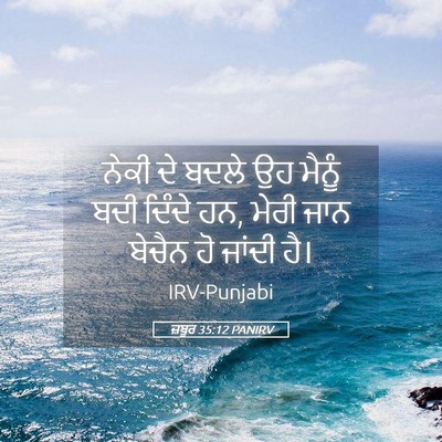 Picture 05 - ਜ਼ਬੂਰ 35:12 PANIRV - ਨੇਕੀ ਦੇ ਬਦਲੇ ਉਹ - Bible Verse Picture
