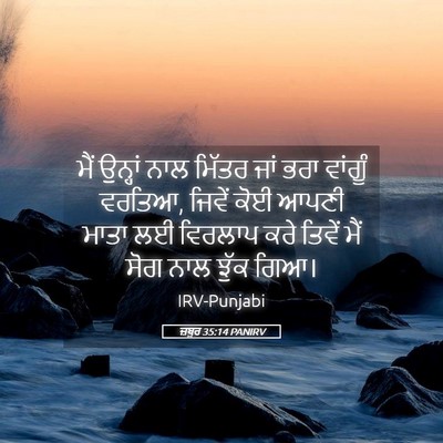 Picture 05 - ਜ਼ਬੂਰ 35:14 PANIRV - ਮੈਂ ਉਨ੍ਹਾਂ ਨਾਲ - Bible Verse Picture