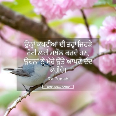 Picture 05 - ਜ਼ਬੂਰ 35:16 PANIRV - ਉਨ੍ਹਾਂ ਕਪਟੀਆਂ ਦੀ - Bible Verse Picture