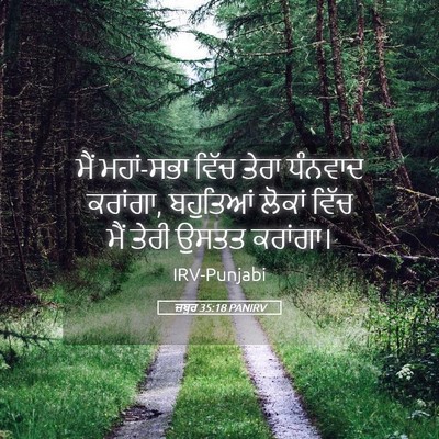 Picture 05 - ਜ਼ਬੂਰ 35:18 PANIRV - ਮੈਂ ਮਹਾਂ-ਸਭਾ ਵਿੱਚ - Bible Verse Picture