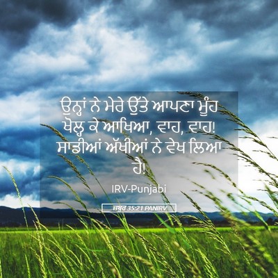 Picture 05 - ਜ਼ਬੂਰ 35:21 PANIRV - ਉਨ੍ਹਾਂ ਨੇ ਮੇਰੇ - Bible Verse Picture