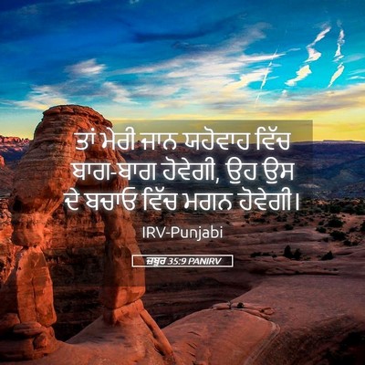 Picture 05 - ਜ਼ਬੂਰ 35:9 PANIRV - ਤਾਂ ਮੇਰੀ ਜਾਨ - Bible Verse Picture