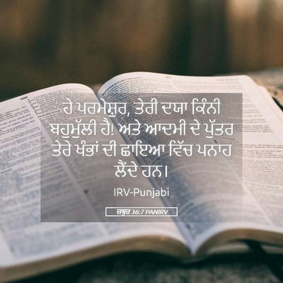 Picture 05 - ਜ਼ਬੂਰ 36:7 PANIRV - ਹੇ ਪਰਮੇਸ਼ੁਰ, ਤੇਰੀ - Bible Verse Picture