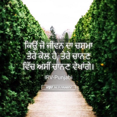 Picture 05 - ਜ਼ਬੂਰ 36:9 PANIRV - ਕਿਉਂ ਜੋ ਜੀਵਨ ਦਾ - Bible Verse Picture