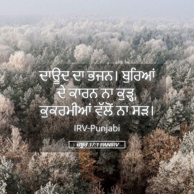 Picture 05 - ਜ਼ਬੂਰ 37:1 PANIRV - ਦਾਊਦ ਦਾ ਭਜਨ। - Bible Verse Picture