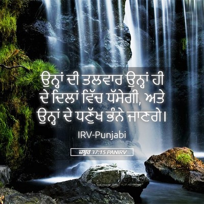 Picture 05 - ਜ਼ਬੂਰ 37:15 PANIRV - ਉਨ੍ਹਾਂ ਦੀ ਤਲਵਾਰ - Bible Verse Picture