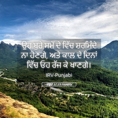 Picture 05 - ਜ਼ਬੂਰ 37:19 PANIRV - ਉਹ ਬੁਰੇ ਸਮੇਂ ਦੇ - Bible Verse Picture