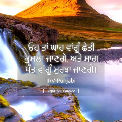 Picture 05 - ਜ਼ਬੂਰ 37:2 PANIRV - ਓਹ ਤਾਂ ਘਾਹ ਵਾਂਗੂੰ - Bible Verse Picture