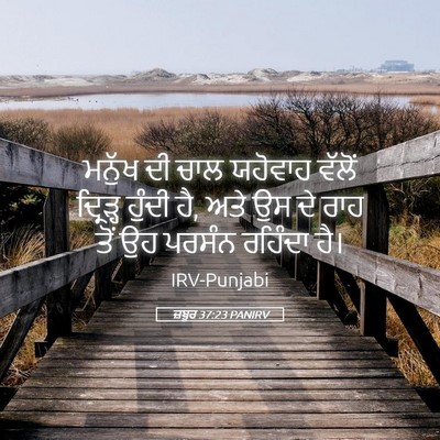 Picture 05 - ਜ਼ਬੂਰ 37:23 PANIRV - ਮਨੁੱਖ ਦੀ ਚਾਲ - Bible Verse Picture