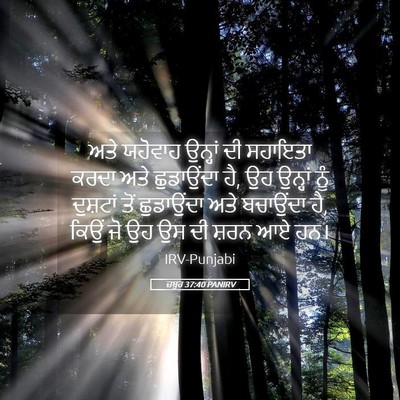 Picture 05 - ਜ਼ਬੂਰ 37:40 PANIRV - ਅਤੇ ਯਹੋਵਾਹ ਉਨ੍ਹਾਂ - Bible Verse Picture