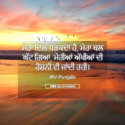 Picture 05 - ਜ਼ਬੂਰ 38:10 PANIRV - ਮੇਰਾ ਦਿਲ ਧੜਕਦਾ ਹੈ, - Bible Verse Picture
