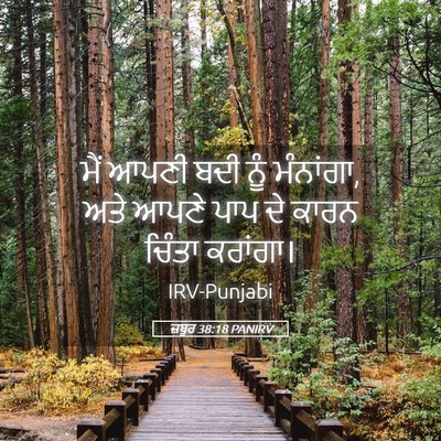 Picture 05 - ਜ਼ਬੂਰ 38:18 PANIRV - ਮੈਂ ਆਪਣੀ ਬਦੀ ਨੂੰ - Bible Verse Picture