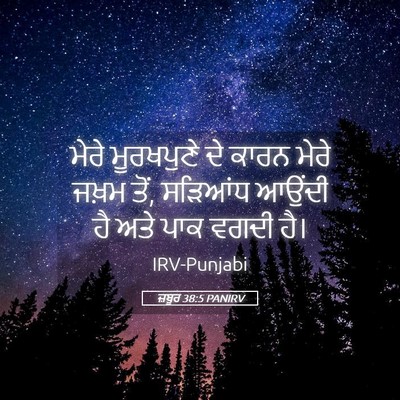 Picture 05 - ਜ਼ਬੂਰ 38:5 PANIRV - ਮੇਰੇ ਮੂਰਖਪੁਣੇ ਦੇ - Bible Verse Picture