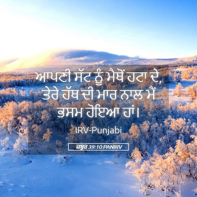Picture 05 - ਜ਼ਬੂਰ 39:10 PANIRV - ਆਪਣੀ ਸੱਟ ਨੂੰ ਮੈਥੋਂ - Bible Verse Picture