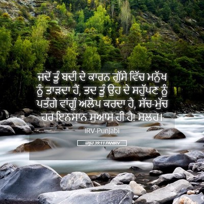 Picture 05 - ਜ਼ਬੂਰ 39:11 PANIRV - ਜਦੋਂ ਤੂੰ ਬਦੀ ਦੇ - Bible Verse Picture