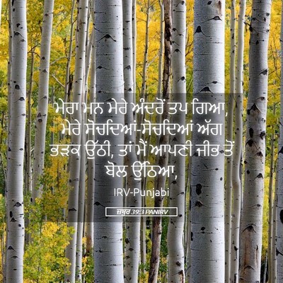 Picture 05 - ਜ਼ਬੂਰ 39:3 PANIRV - ਮੇਰਾ ਮਨ ਮੇਰੇ - Bible Verse Picture