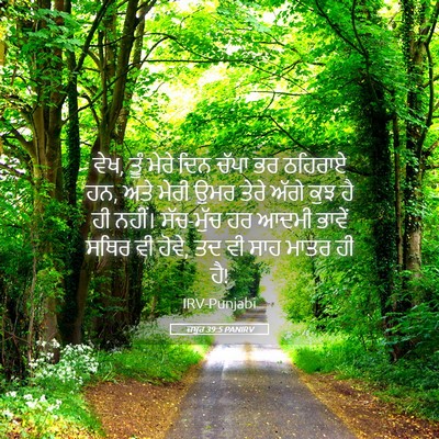 Picture 05 - ਜ਼ਬੂਰ 39:5 PANIRV - ਵੇਖ, ਤੂੰ ਮੇਰੇ ਦਿਨ - Bible Verse Picture