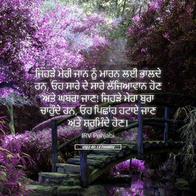 Picture 05 - ਜ਼ਬੂਰ 40:14 PANIRV - ਜਿਹੜੇ ਮੇਰੀ ਜਾਨ ਨੂੰ - Bible Verse Picture