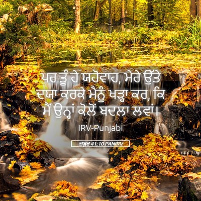 Picture 05 - ਜ਼ਬੂਰ 41:10 PANIRV - ਪਰ ਤੂੰ ਹੇ ਯਹੋਵਾਹ, - Bible Verse Picture