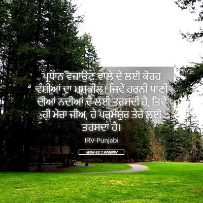 Picture 05 - ਜ਼ਬੂਰ 42:1 PANIRV - ਪ੍ਰਧਾਨ ਵਜਾਉਣ ਵਾਲੇ - Bible Verse Picture