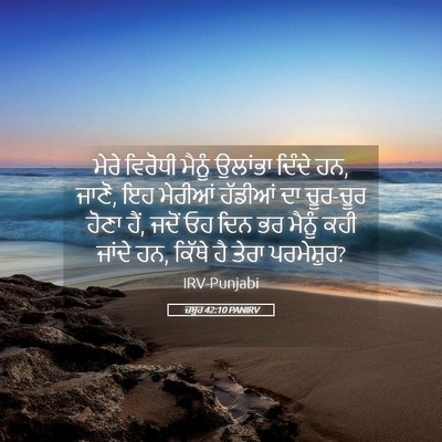 Picture 05 - ਜ਼ਬੂਰ 42:10 PANIRV - ਮੇਰੇ ਵਿਰੋਧੀ ਮੈਨੂੰ - Bible Verse Picture