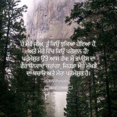 Picture 05 - ਜ਼ਬੂਰ 42:11 PANIRV - ਹੇ ਮੇਰੇ ਜੀਅ, ਤੂੰ - Bible Verse Picture