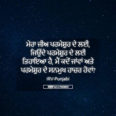 Picture 05 - ਜ਼ਬੂਰ 42:2 PANIRV - ਮੇਰਾ ਜੀਅ ਪਰਮੇਸ਼ੁਰ - Bible Verse Picture