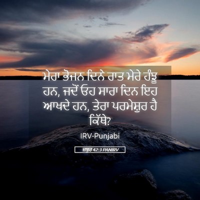 Picture 05 - ਜ਼ਬੂਰ 42:3 PANIRV - ਮੇਰਾ ਭੋਜਨ ਦਿਨੇ ਰਾਤ - Bible Verse Picture