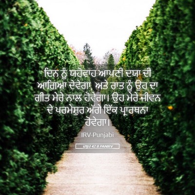 Picture 05 - ਜ਼ਬੂਰ 42:8 PANIRV - ਦਿਨ ਨੂੰ ਯਹੋਵਾਹ - Bible Verse Picture
