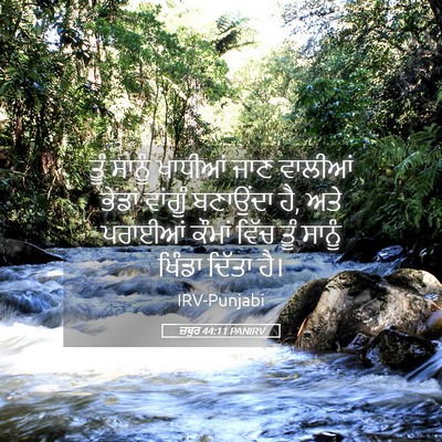 Picture 05 - ਜ਼ਬੂਰ 44:11 PANIRV - ਤੂੰ ਸਾਨੂੰ ਖਾਧੀਆਂ - Bible Verse Picture