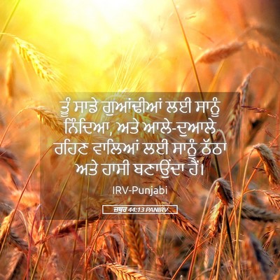 Picture 05 - ਜ਼ਬੂਰ 44:13 PANIRV - ਤੂੰ ਸਾਡੇ ਗੁਆਂਢੀਆਂ - Bible Verse Picture