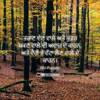 Picture 05 - ਜ਼ਬੂਰ 44:16 PANIRV - ਤਰਾਣ ਦੇਣ ਵਾਲੇ ਅਤੇ - Bible Verse Picture