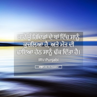 Picture 05 - ਜ਼ਬੂਰ 44:19 PANIRV - ਭਾਵੇਂ ਤੂੰ ਗਿੱਦੜਾਂ - Bible Verse Picture