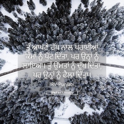 Picture 05 - ਜ਼ਬੂਰ 44:2 PANIRV - ਤੂੰ ਆਪਣੇ ਹੱਥ ਨਾਲ - Bible Verse Picture