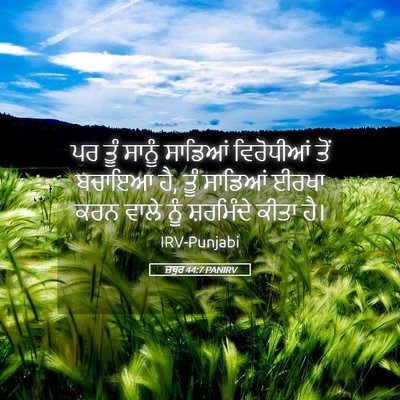 Picture 05 - ਜ਼ਬੂਰ 44:7 PANIRV - ਪਰ ਤੂੰ ਸਾਨੂੰ - Bible Verse Picture