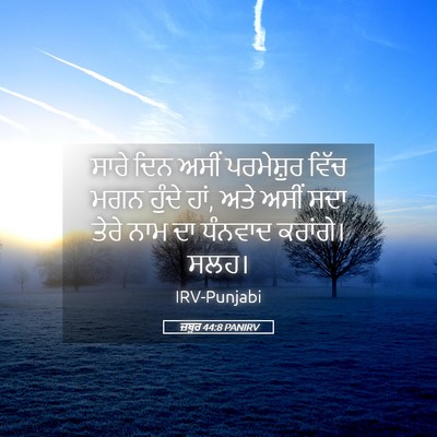 Picture 05 - ਜ਼ਬੂਰ 44:8 PANIRV - ਸਾਰੇ ਦਿਨ ਅਸੀਂ - Bible Verse Picture