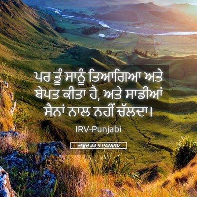 Picture 05 - ਜ਼ਬੂਰ 44:9 PANIRV - ਪਰ ਤੂੰ ਸਾਨੂੰ - Bible Verse Picture
