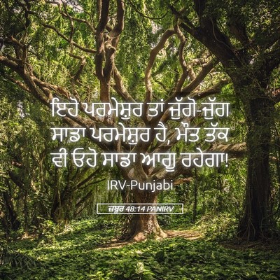 Picture 05 - ਜ਼ਬੂਰ 48:14 PANIRV - ਇਹੋ ਪਰਮੇਸ਼ੁਰ ਤਾਂ - Bible Verse Picture
