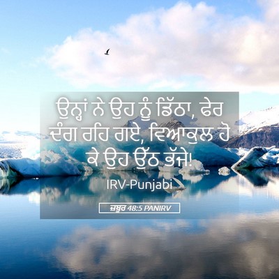 Picture 05 - ਜ਼ਬੂਰ 48:5 PANIRV - ਉਨ੍ਹਾਂ ਨੇ ਉਹ ਨੂੰ - Bible Verse Picture