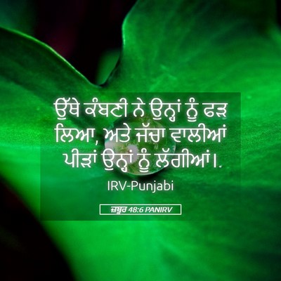 Picture 05 - ਜ਼ਬੂਰ 48:6 PANIRV - ਉੱਥੇ ਕੰਬਣੀ ਨੇ - Bible Verse Picture