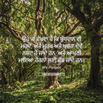 Picture 05 - ਜ਼ਬੂਰ 49:10 PANIRV - ਉਹ ਤਾਂ ਵੇਖਦਾ ਹੈ ਕਿ - Bible Verse Picture