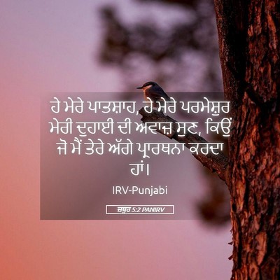 Picture 05 - ਜ਼ਬੂਰ 5:2 PANIRV - ਹੇ ਮੇਰੇ ਪਾਤਸ਼ਾਹ, ਹੇ - Bible Verse Picture