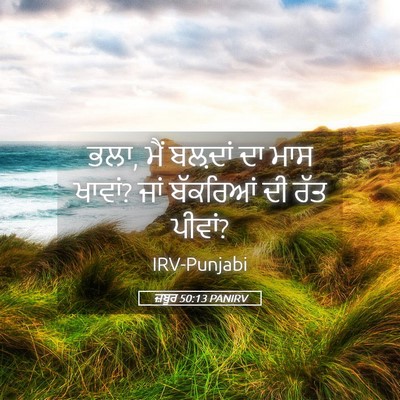 Picture 05 - ਜ਼ਬੂਰ 50:13 PANIRV - ਭਲਾ, ਮੈਂ ਬਲ਼ਦਾਂ ਦਾ - Bible Verse Picture
